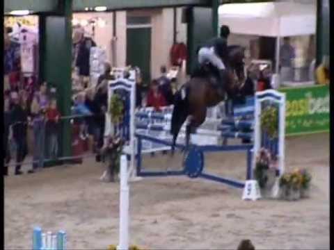 Jumping Horses